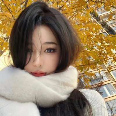 我在岛屿读书第二季