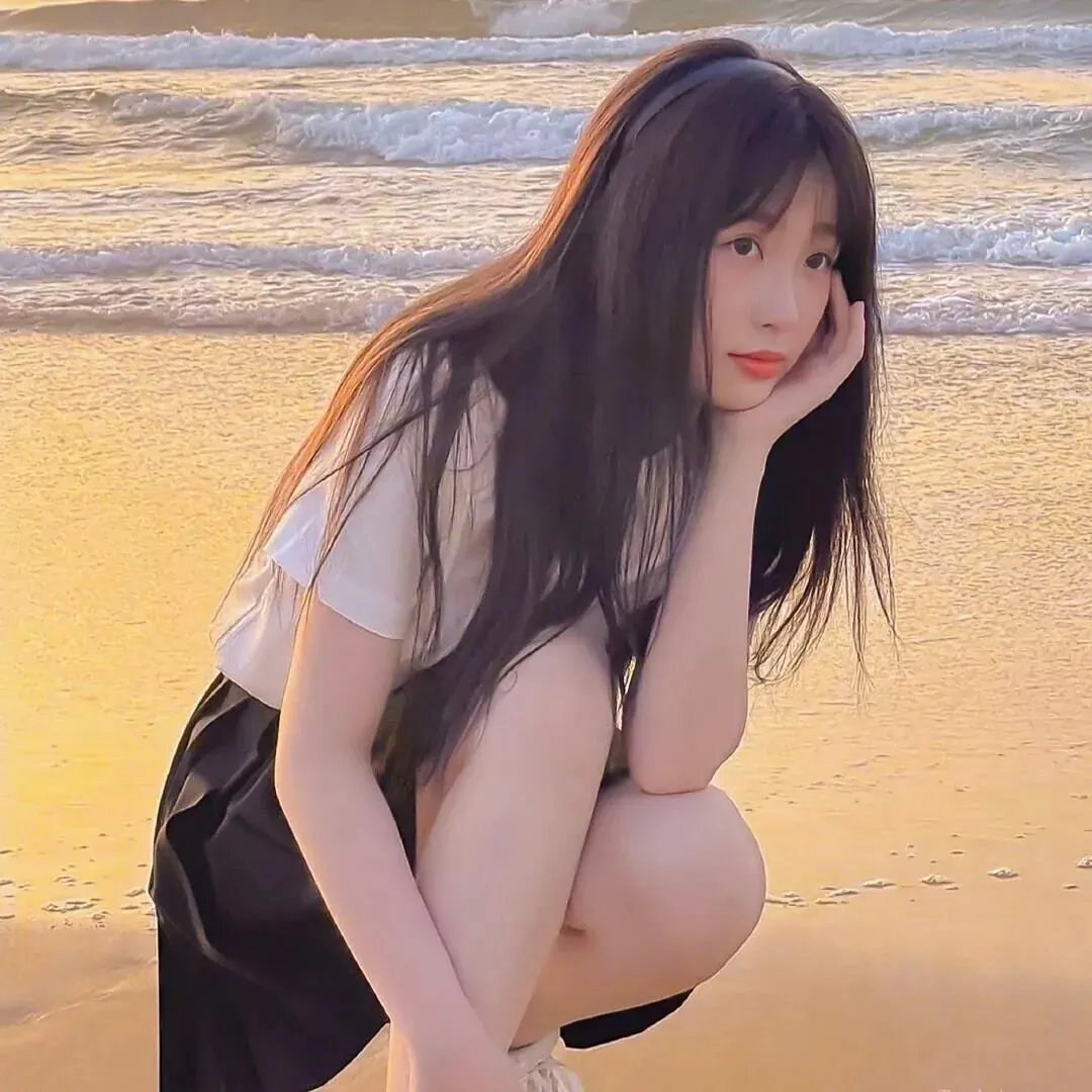 夏绿蒂的网