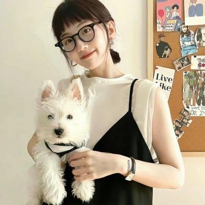 精灵古比